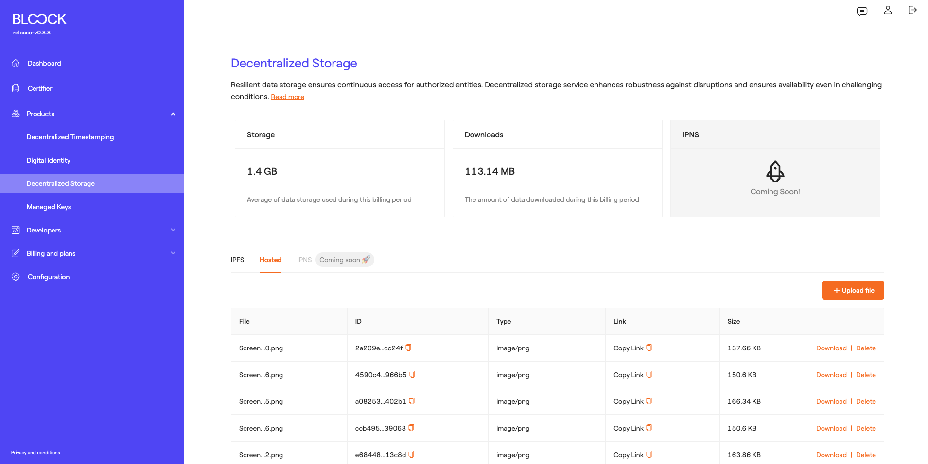 Decentralized Storage Hosted